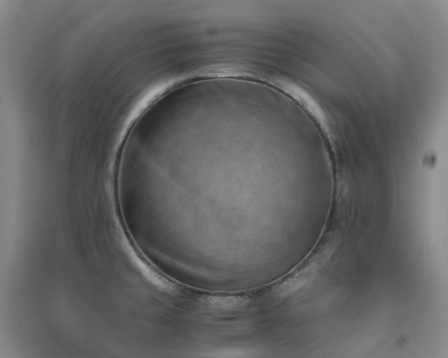 X0000094451429200711151417