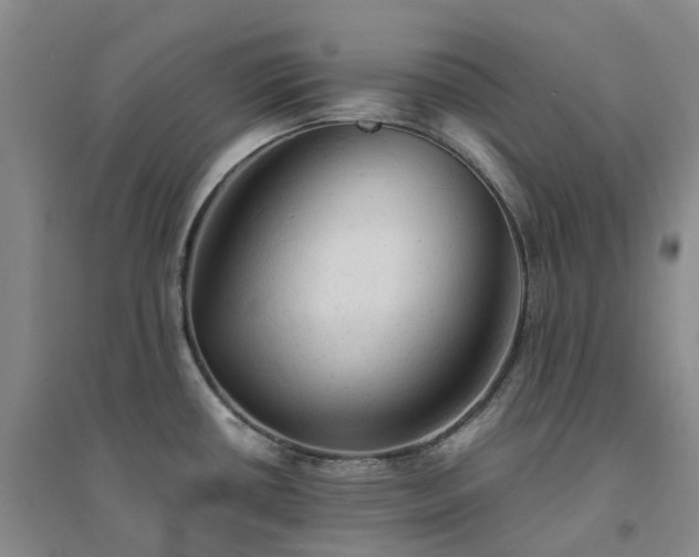 X0000094451434200711151417