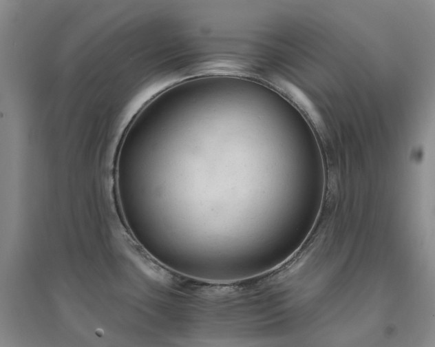 X0000094451435200711151417