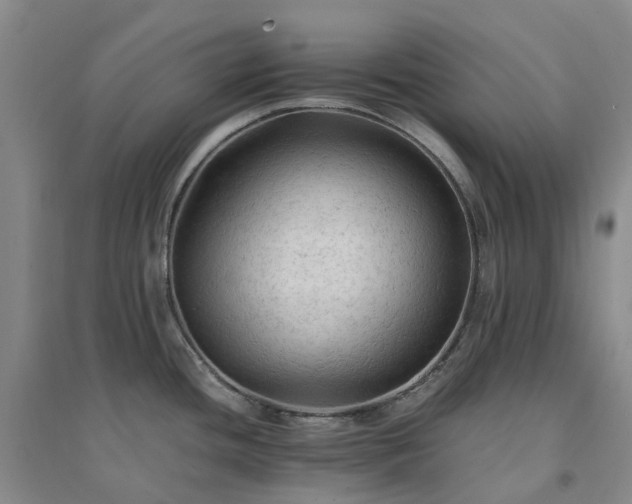 X0000094451436200711151417
