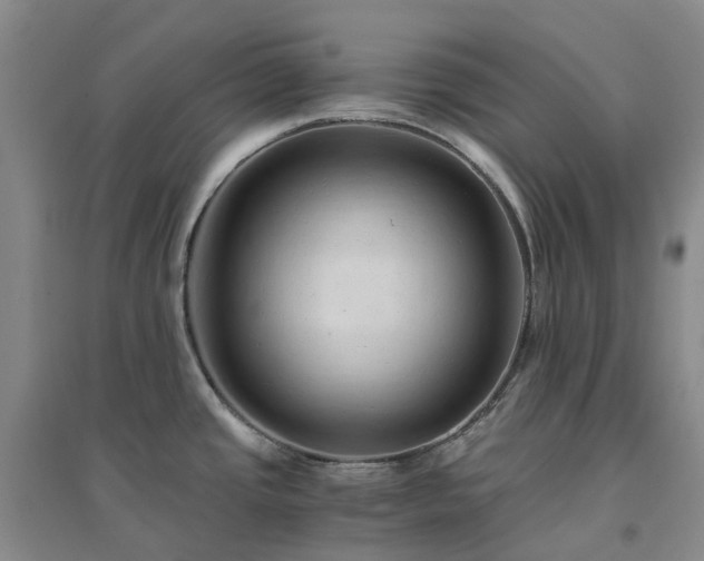 X0000094451437200711151417