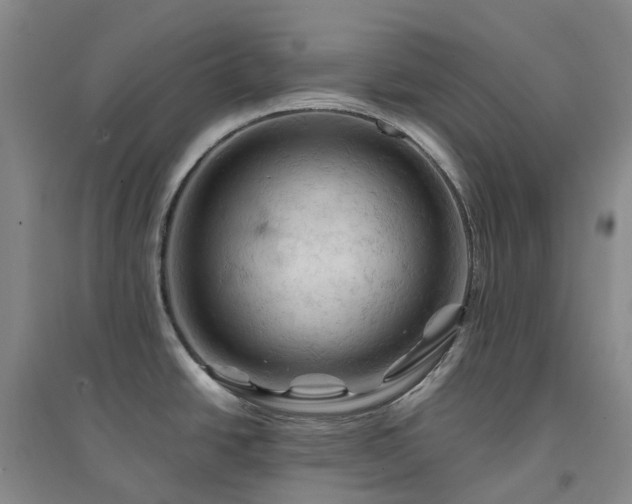 X0000094451438200711151417