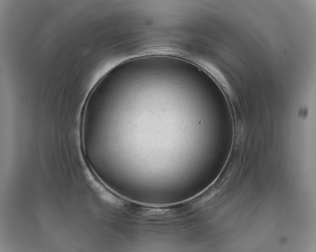 X0000094451439200711151417