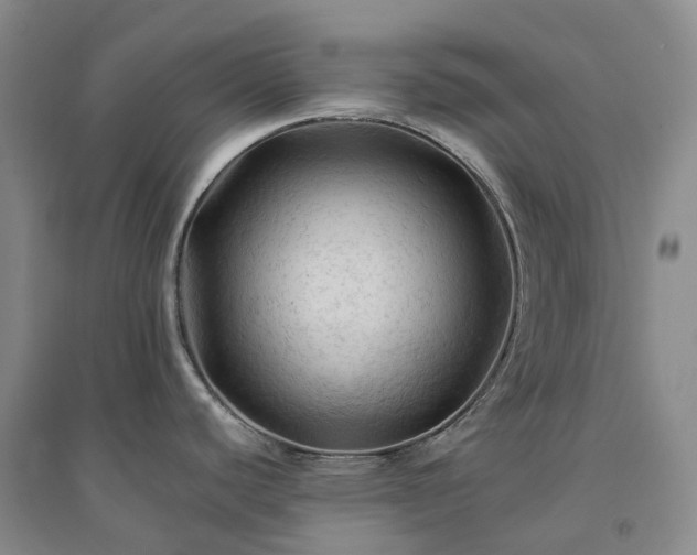 X0000094451440200711151417