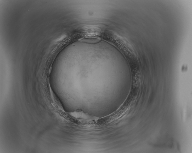 X0000094451441200711151416
