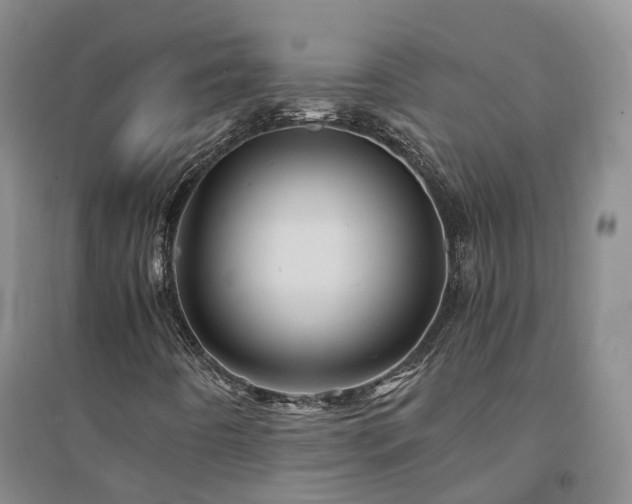 X0000094451442200711151416