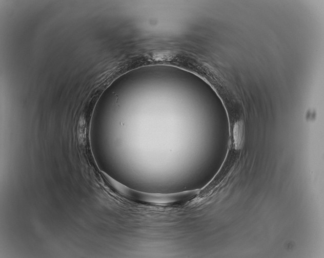 X0000094451443200711151416