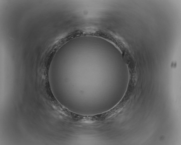 X0000094451445200711151416