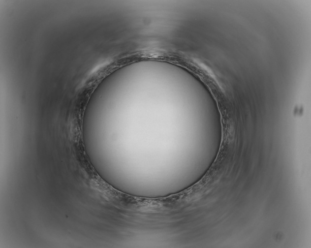 X0000094451446200711151416