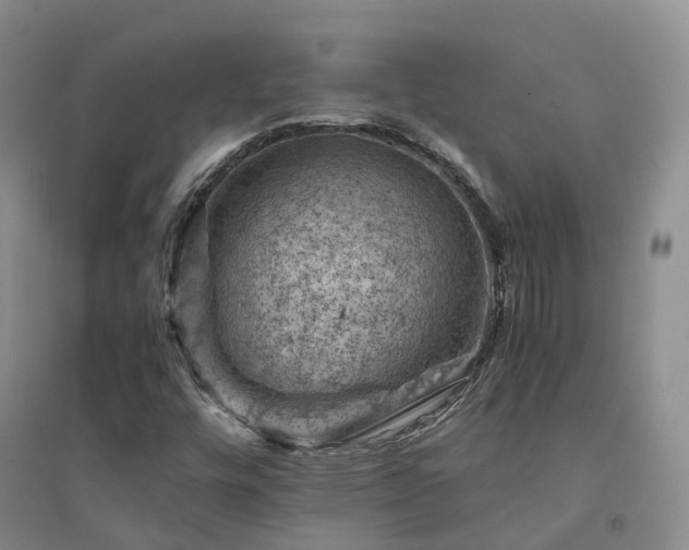 X0000094451448200711151416