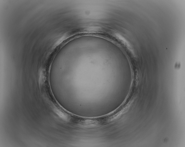 X0000094451449200711151416