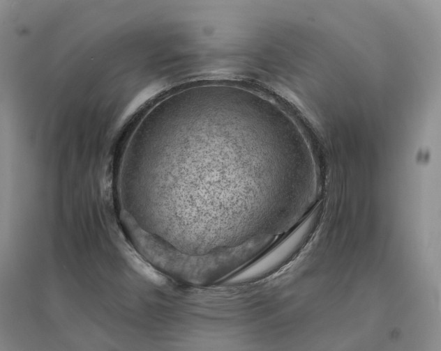 X0000094451450200711151416
