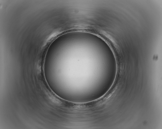 X0000094451451200711151416