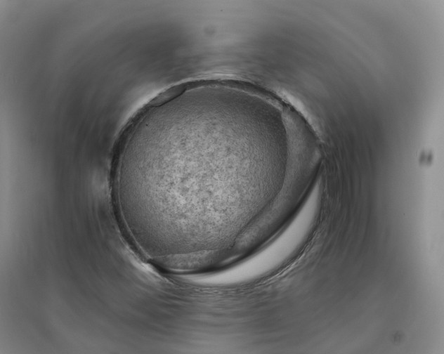 X0000094451452200711151416