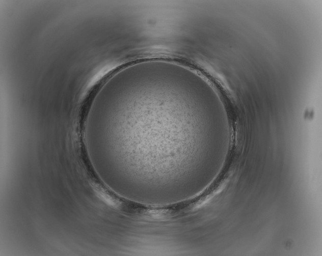 X0000094451453200711151416