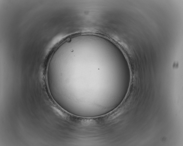 X0000094451454200711151416