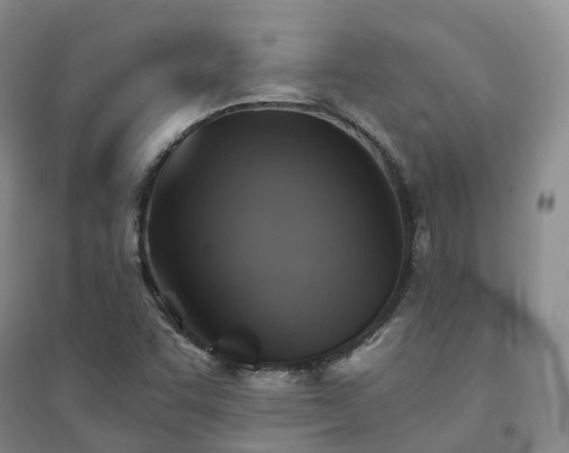 X0000094451455200711151416