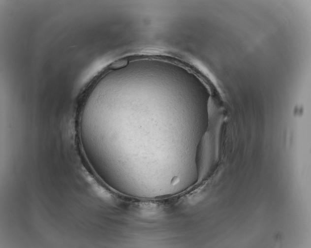 X0000094451456200711151416