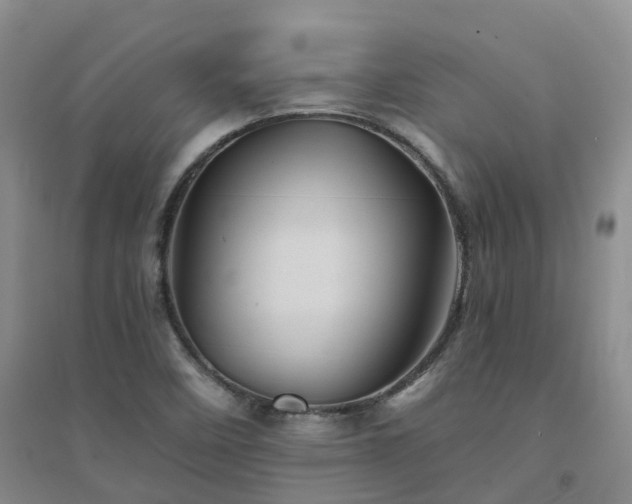 X0000094451458200711151416