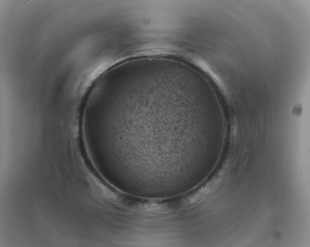 X0000094451459200711151416