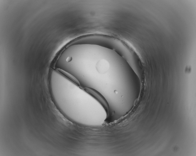 X0000094451460200711151416