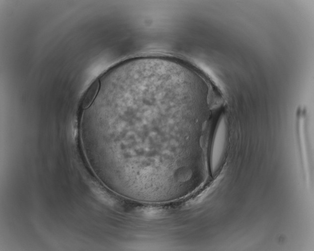 X0000094451461200711151416
