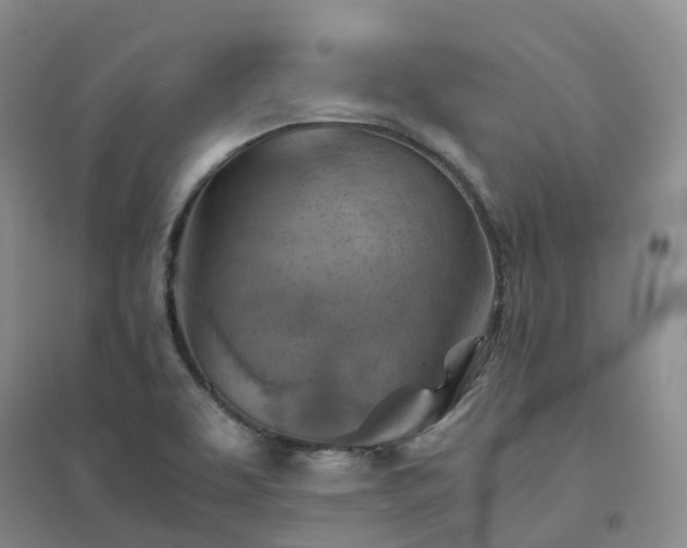 X0000094451463200711151416
