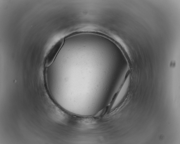 X0000094451464200711151416