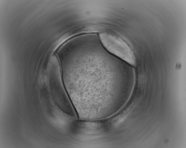 X0000094451465200711151416