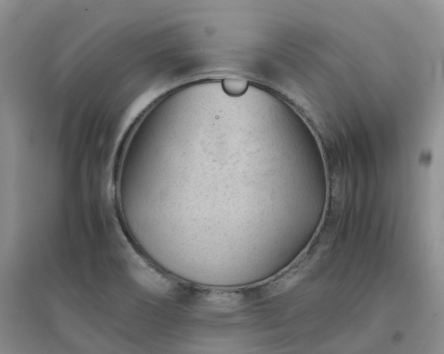 X0000094451466200711151416