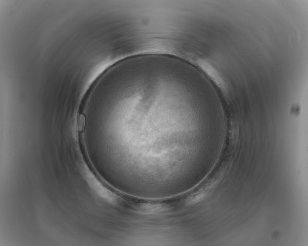 X0000094451468200711151416