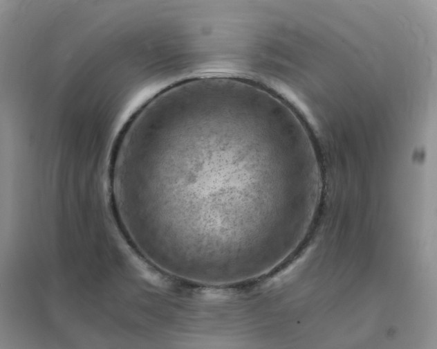 X0000094451469200711151416