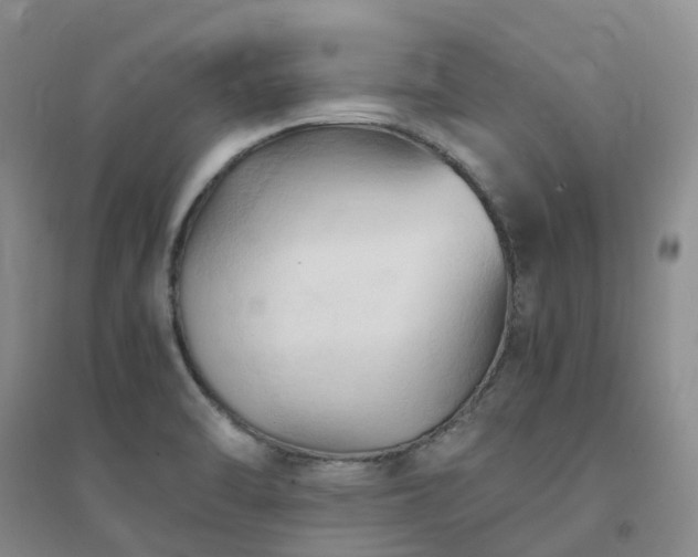 X0000094451470200711151416