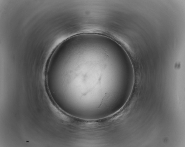 X0000094451471200711151416