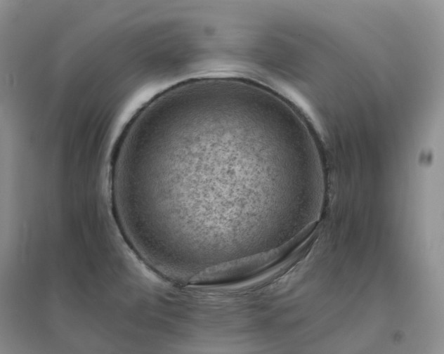 X0000094451472200711151416