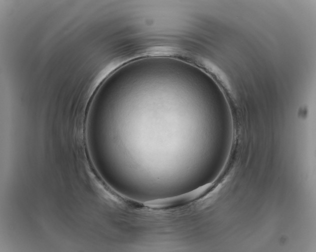 X0000094451473200711151416