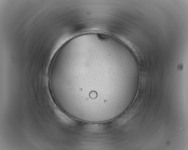 X0000094451474200711151416