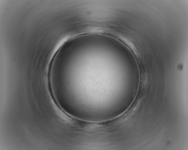 X0000094451475200711151416