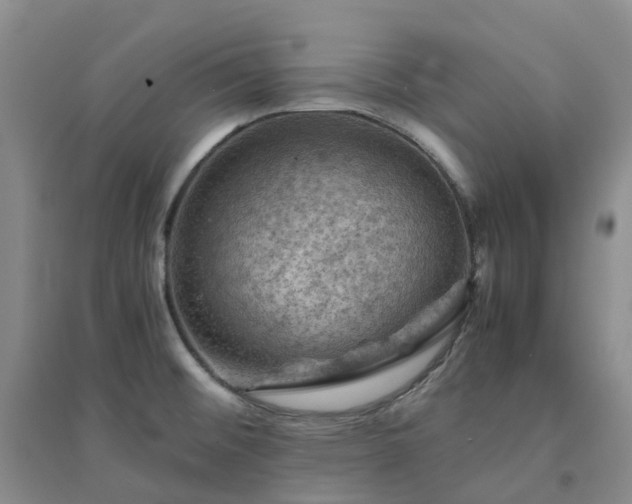 X0000094451476200711151416