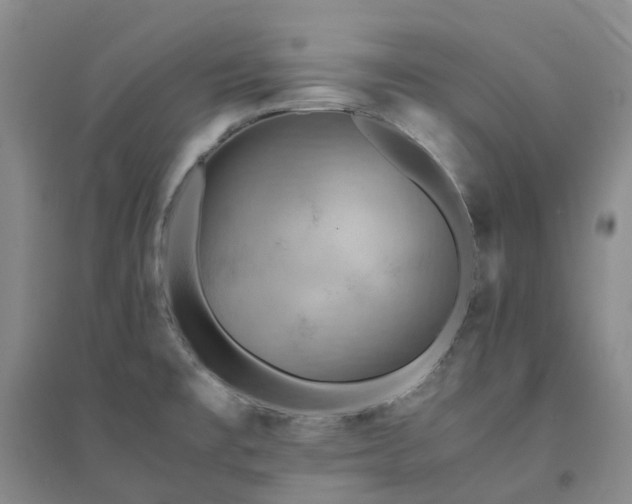 X0000094451477200711151416