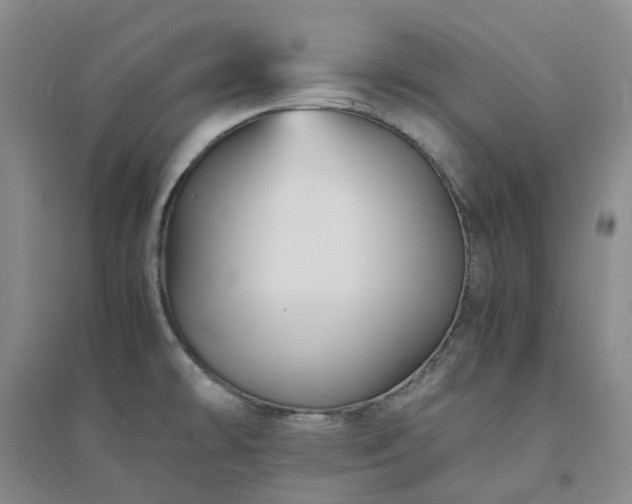 X0000094451478200711151416