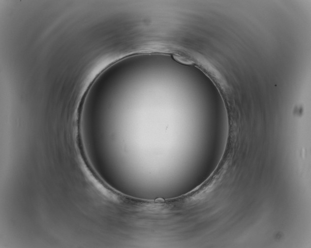X0000094451479200711151416