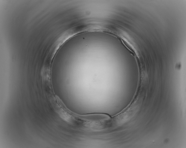 X0000094451481200711151416