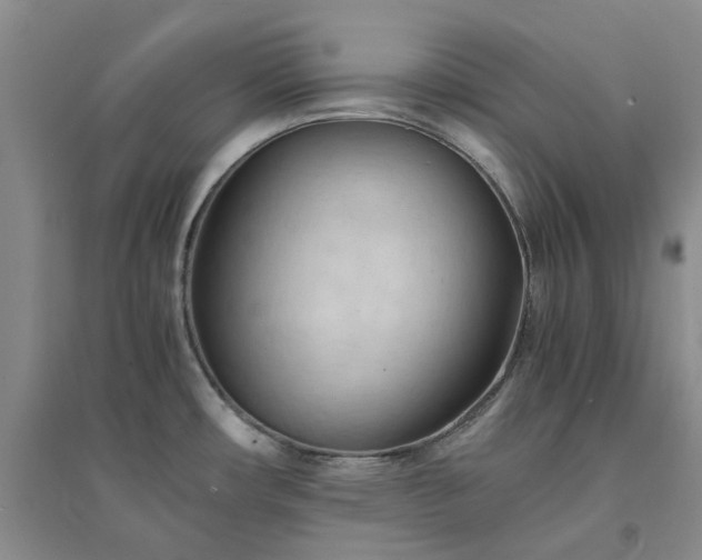 X0000094451482200711151416