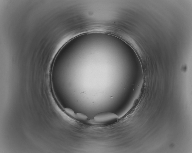 X0000094451483200711151416