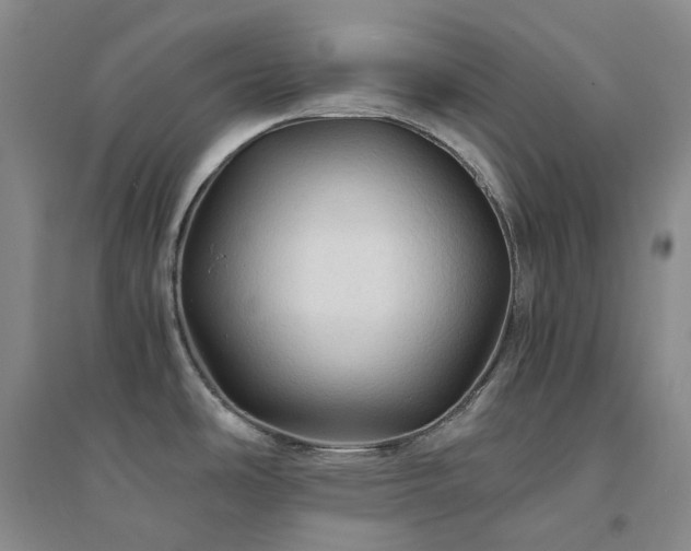 X0000094451486200711151416
