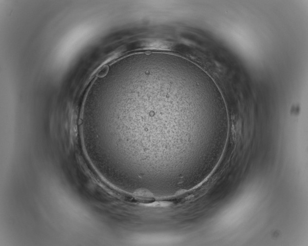 X0000094451487200711151416
