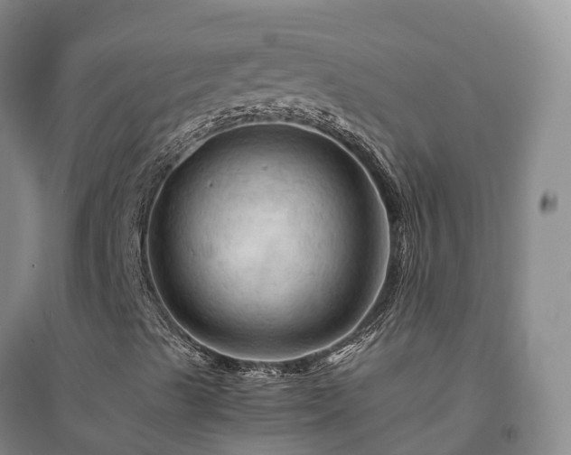 X0000094451489200711151415