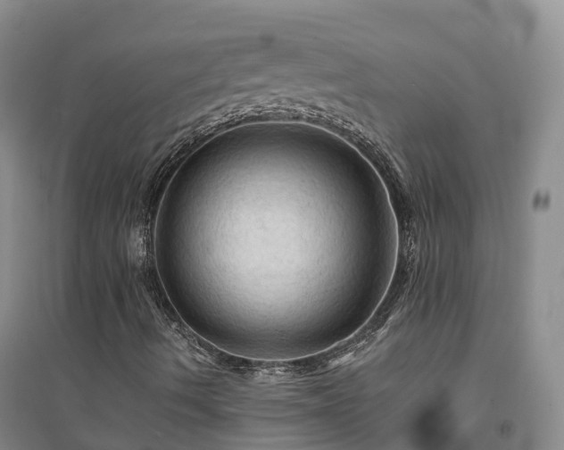 X0000094451490200711151415
