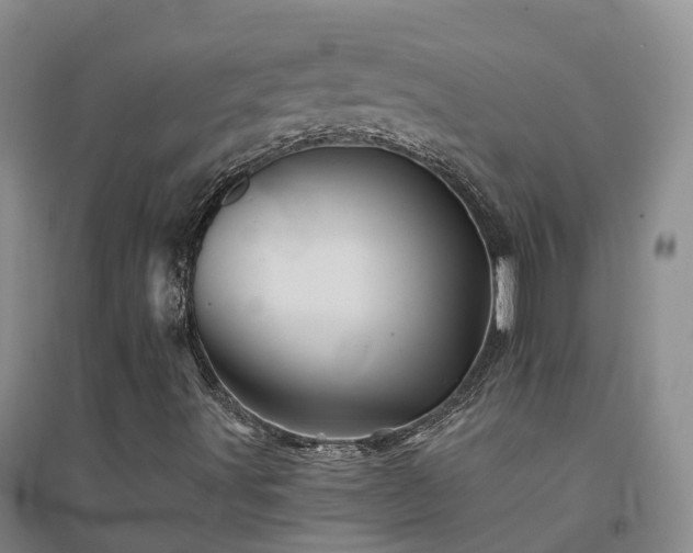 X0000094451491200711151415
